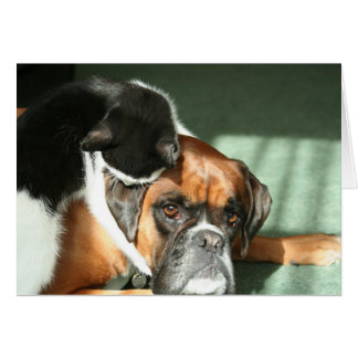 猫のネックレス