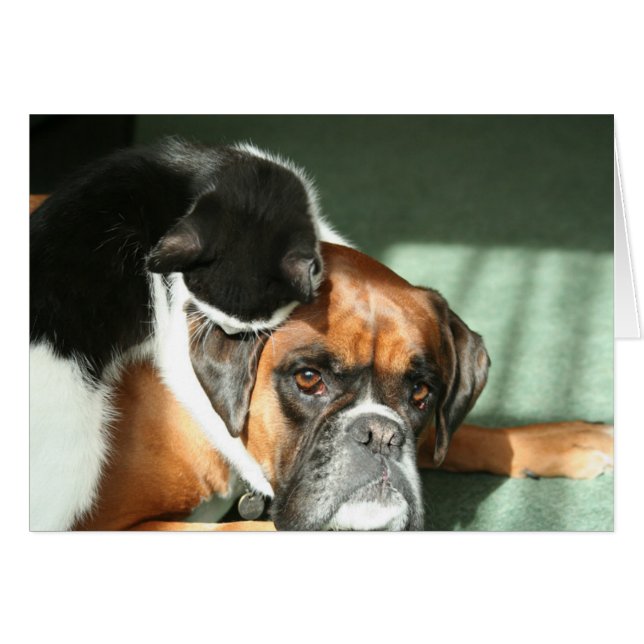 猫のネックレス (正面横)