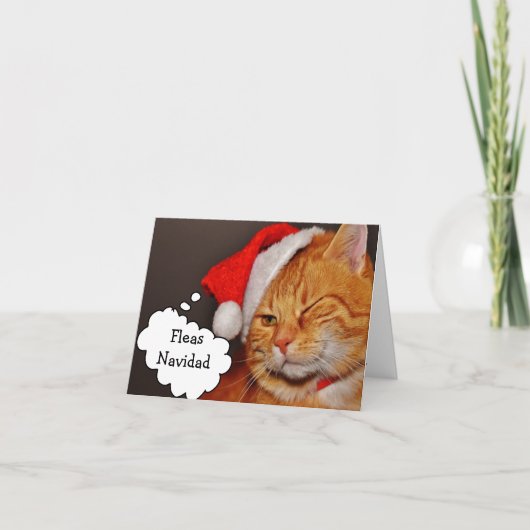 猫のノミのナビダード クリスマス (正面)