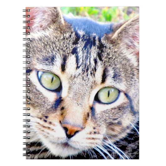 猫のノート ノートブック (正面)