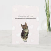 猫のハッピーバースデー カード (裏面)