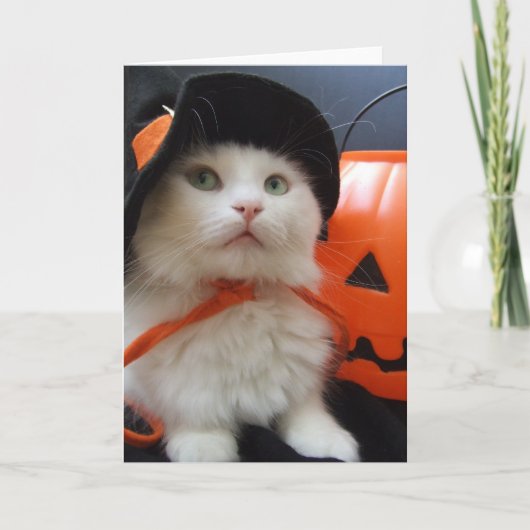 猫のハロウィン カード (正面)