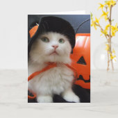 猫のハロウィン カード (黄色い花)