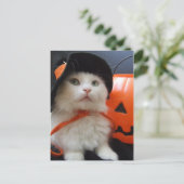 猫のハロウィーン ポストカード (スタンド正面)