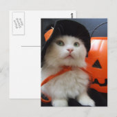 猫のハロウィーン ポストカード (正面/裏面)