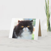 猫のバッグサプライズ誕生日パーティーへの招待 招待状 (裏面)