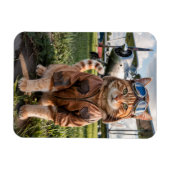 猫のパイロット写真と飛行機の面白い航空ギフト マグネット (横)
