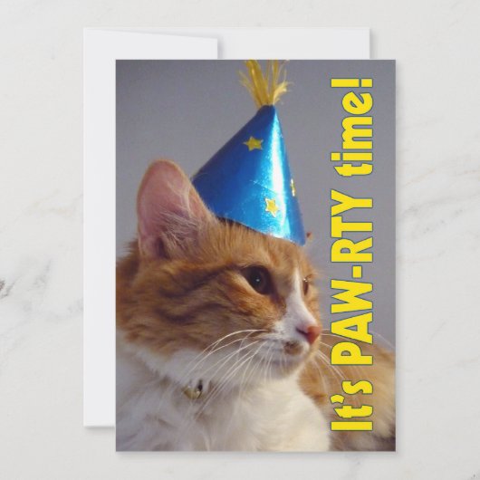 猫のパーティータイム - 誕生日招待状 招待状 (正面)