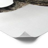 猫のヒッシングポートレート ポスター (角)