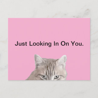 猫のピンクの葉書をラスティ ポストカード