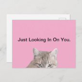 猫のピンクの葉書をラスティ ポストカード (正面/裏面)