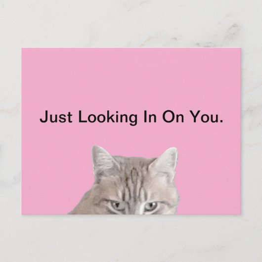 猫のピンクの葉書をラスティ ポストカード (正面)