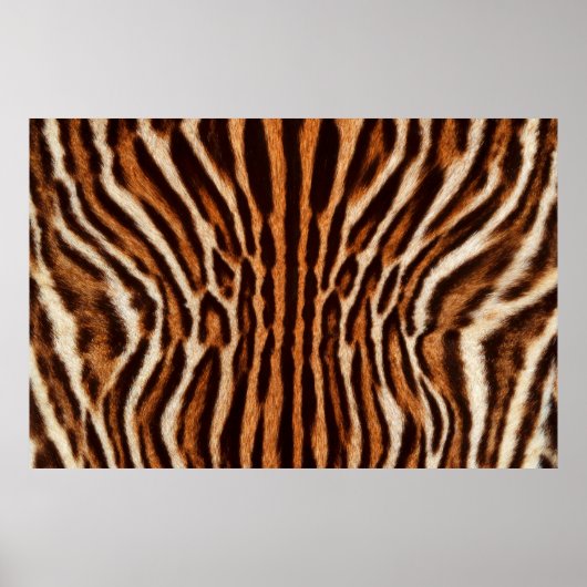 猫のファーの背景 ポスター (正面)