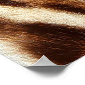 猫のファーの背景 ポスター (角)