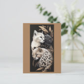 猫のフィネス#1 ポストカード (スタンド正面)