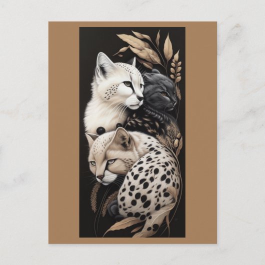 猫のフィネス#1 ポストカード (正面)