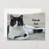 猫のブラック&ホワイトのタキシードの写真ありがとうございます ポストカード (正面/裏面)