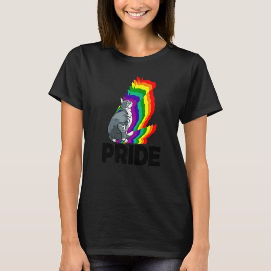 猫のプライド 猫 虹色 猫 子猫 1 Tシャツ (正面)