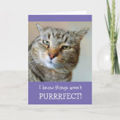 猫のプーンとジョークが上手に出る カード (正面)