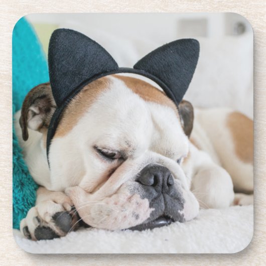 猫のヘッドバンドを持つGettyのイメージ|の眠い犬 コースター (正面)