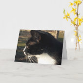 猫のペットの死 カード (黄色い花)