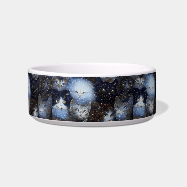 猫のペットをキラキラ ボウル (正面)