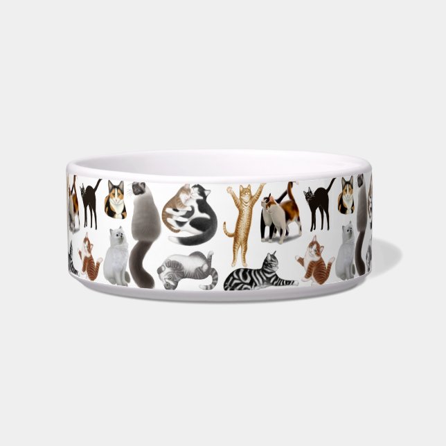 猫のペットボウルについて熱狂する ボウル (正面)