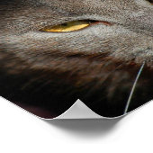 猫のポスターを吸う ポスター (角)