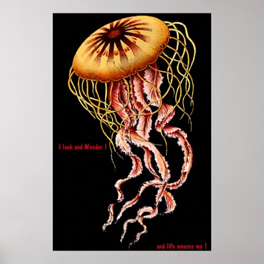 猫のポスター ポスター (正面)