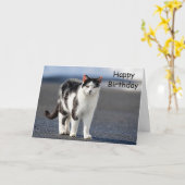 猫のポートレート カード (黄色い花)