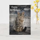 猫のポートレート カード (黄色い花)