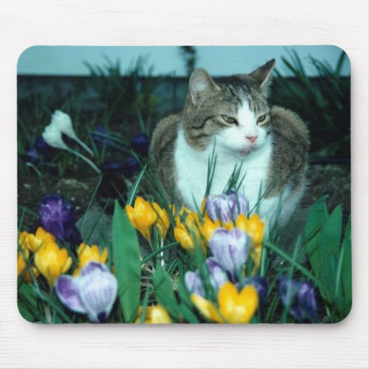 猫のマウスパッド マウスパッド (正面)