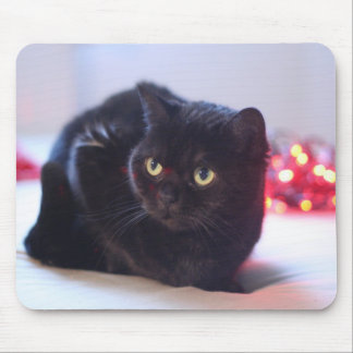 猫のマウスパッド マウスパッド