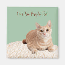 猫のマグネット猫は人間でもある