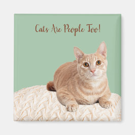 猫のマグネット猫は人間でもある マグネット