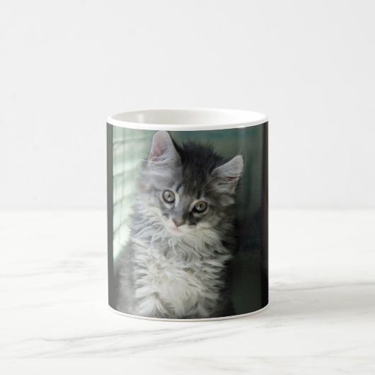 猫のマグ コーヒーマグカップ (中央)