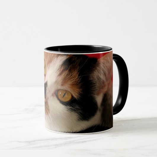 猫のマグ-世界で最も最高のな猫のお母さん マグカップ (正面右)