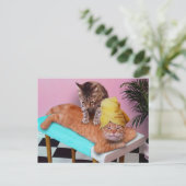 猫のマッサージを楽しむオレンジ色の猫 ポストカード (スタンド正面)