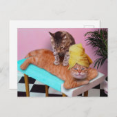 猫のマッサージを楽しむオレンジ色の猫 ポストカード (正面/裏面)