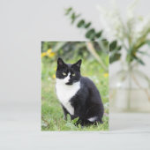 猫のミルダ ポストカード (スタンド正面)