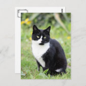 猫のミルダ ポストカード (正面/裏面)