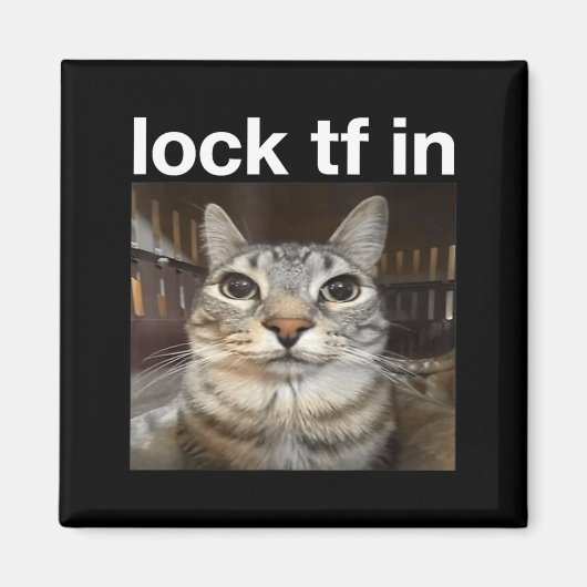 猫のミームでTFをロック マグネット (正面)