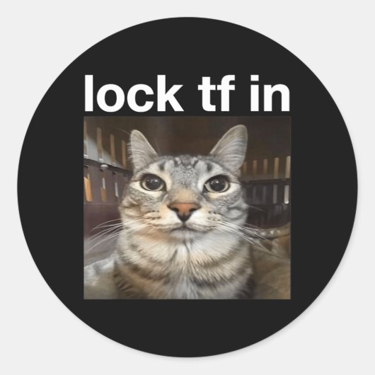 猫のミームでTFをロック ラウンドシール (正面)