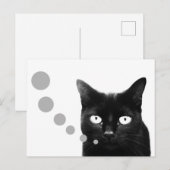 猫のメッセージ ポストカード (正面/裏面)
