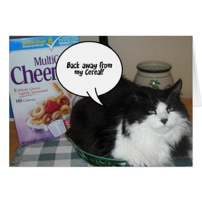 猫のユーモア (正面横)