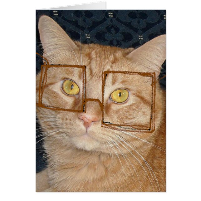 猫のユーモア (正面)