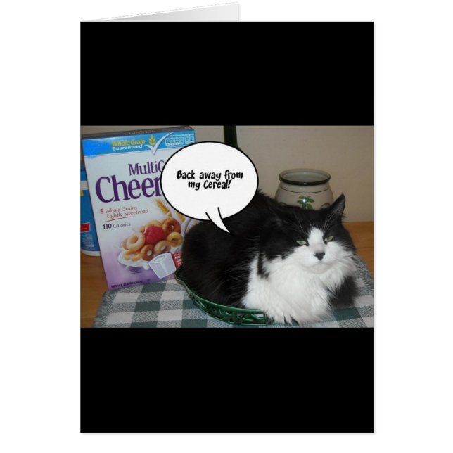 猫のユーモア (正面)