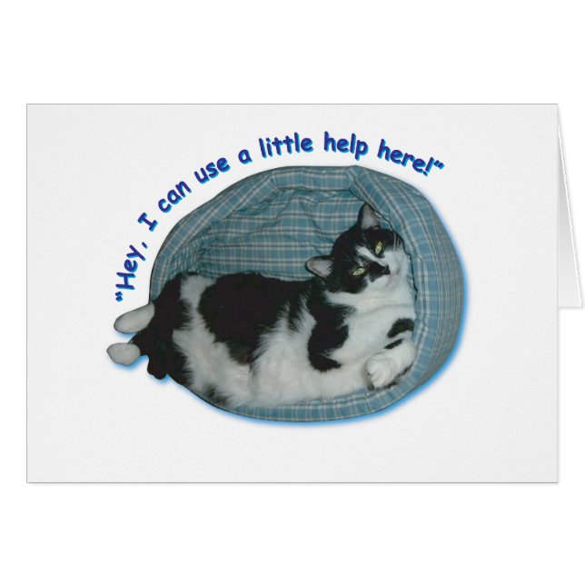 猫のユーモア (正面横)