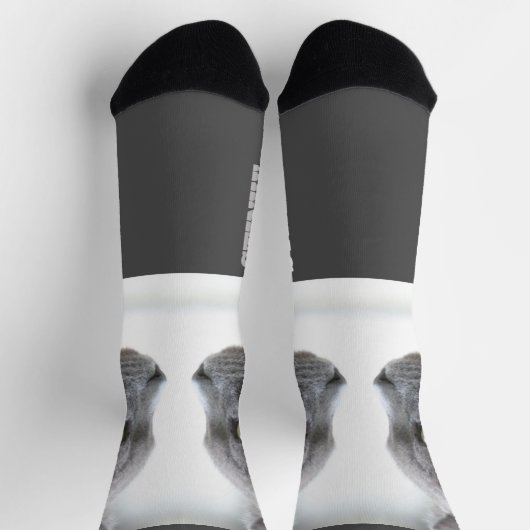 猫のユーモア ソックス (上部)