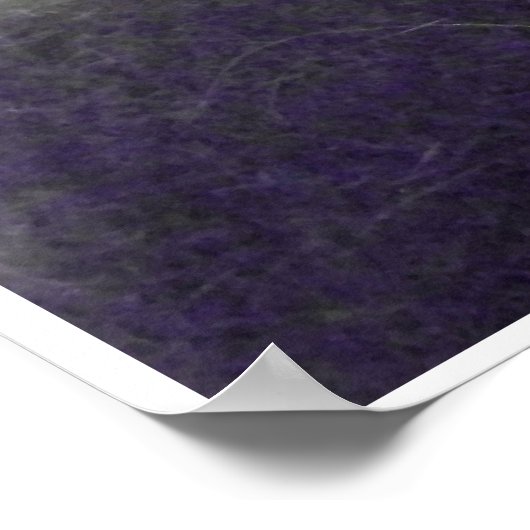 猫のユーモア ポスター (角)